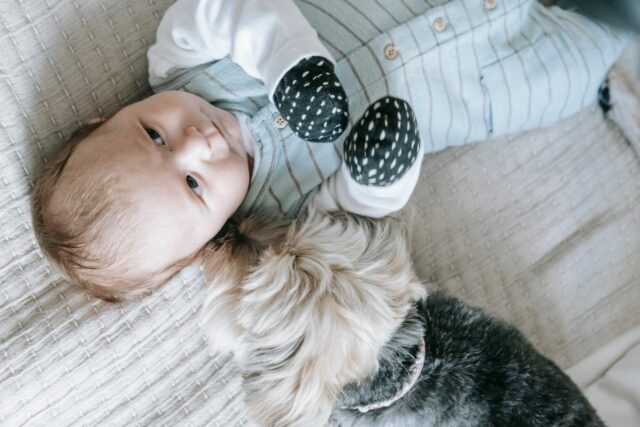 adopter animal compagnie avec bébé-baby journal