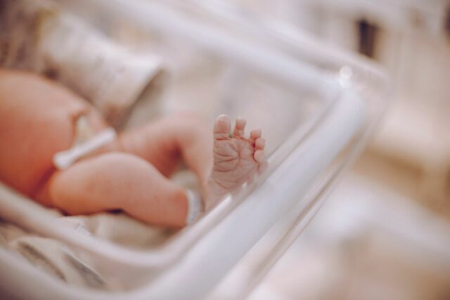 certificat naissance original garder-baby journal