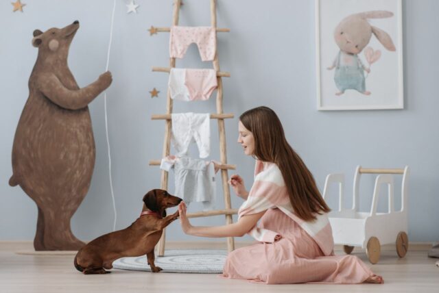 chambre bébé DIY budget-baby journal