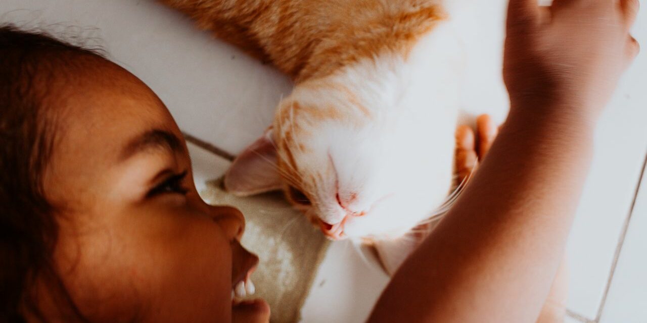 Chat et Bébé : Les Précautions à Prendre pour une Cohabitation Sereine