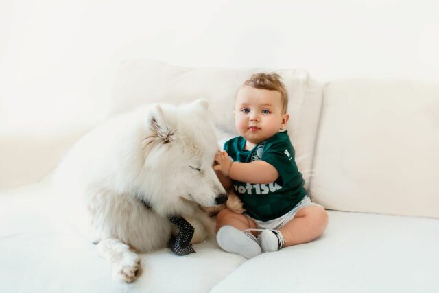 chien et bébé cohabitation-baby journal