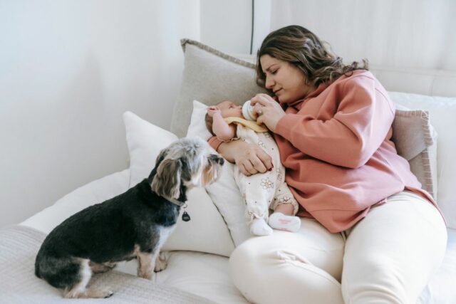 chien et bébé cohabitation-baby journal