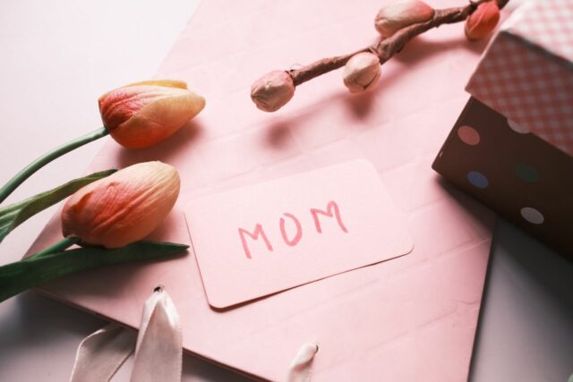 fête des mères cadeau bébé fait-Baby journal
