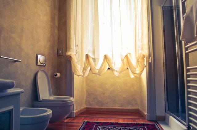 pot ou toilette bébé-baby journal