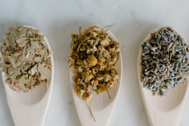 tisane allaitement plantes-Baby journal