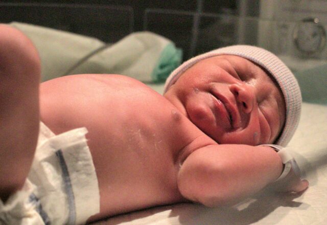 bébé poids naissance courbe-Baby journal