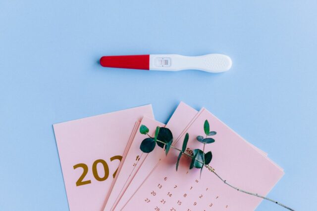 calendrier personnalisé bébé photo-Baby journal