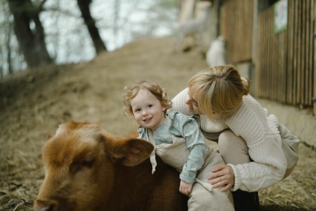 ferme pédagogique bébé première visite-Baby journal