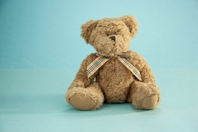 nounours sécurité objet transitionnel choisir-Baby journal