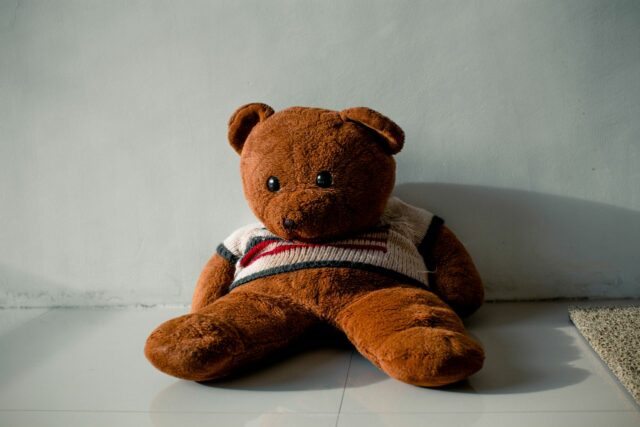 nounours sécurité objet transitionnel choisir-Baby journal