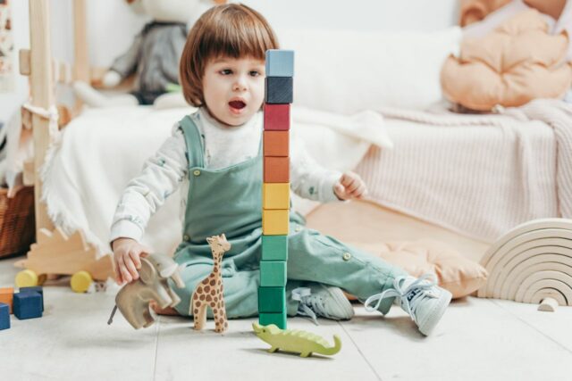 seconde main jouets bébé vérifier-Baby journal