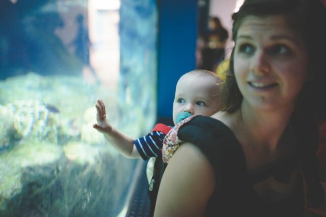 zoo aquarium bébé visiter-Baby journal1