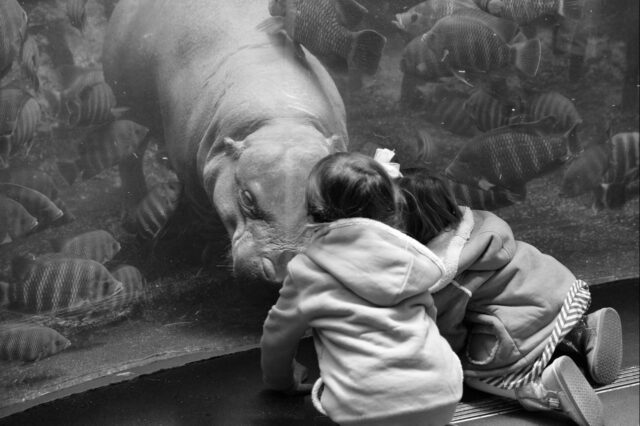 zoo aquarium bébé visiter-Baby journal1