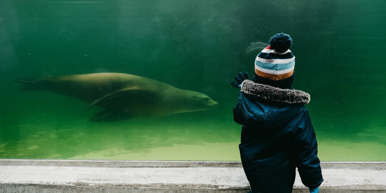 Zoo ou Aquarium avec Bébé : L&rsquo;Âge Idéal et Comment en Faire un Souvenir